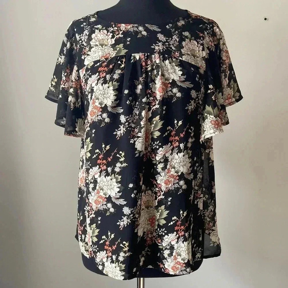 Doe & Rae  | Sheer Blouse - Picture 1 of 6